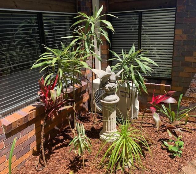 Montville Holiday Apartments المظهر الخارجي الصورة